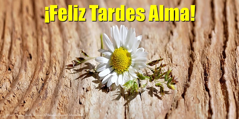 Felicitaciones de buenas tardes - ¡Feliz Tardes Alma!