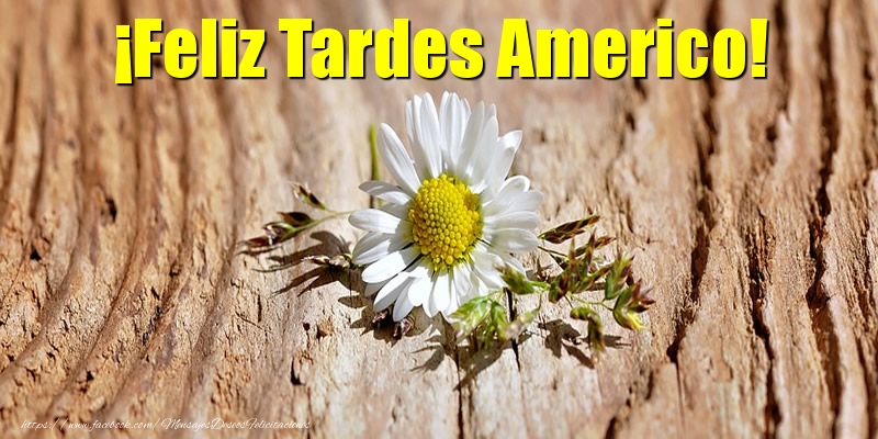 Felicitaciones de buenas tardes - ¡Feliz Tardes Americo!