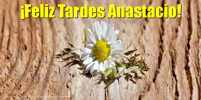 Felicitaciones de buenas tardes - Flores | ¡Feliz Tardes Anastacio!