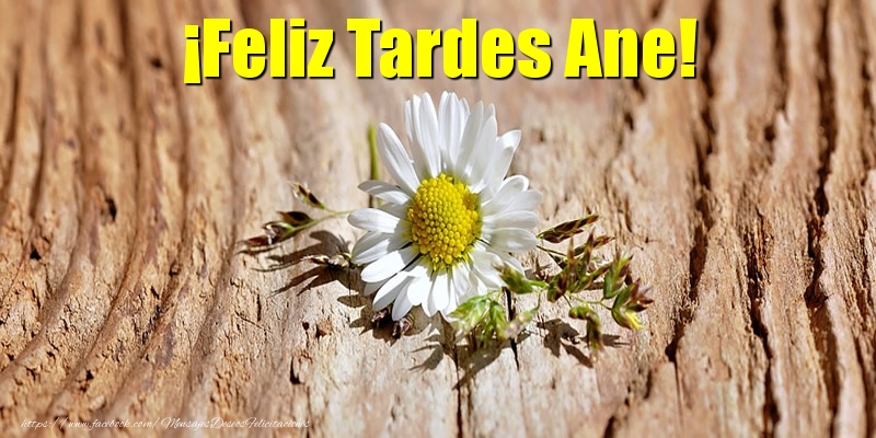 Felicitaciones de buenas tardes - Flores | ¡Feliz Tardes Ane!