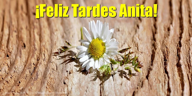 Felicitaciones de buenas tardes - Flores | ¡Feliz Tardes Anita!