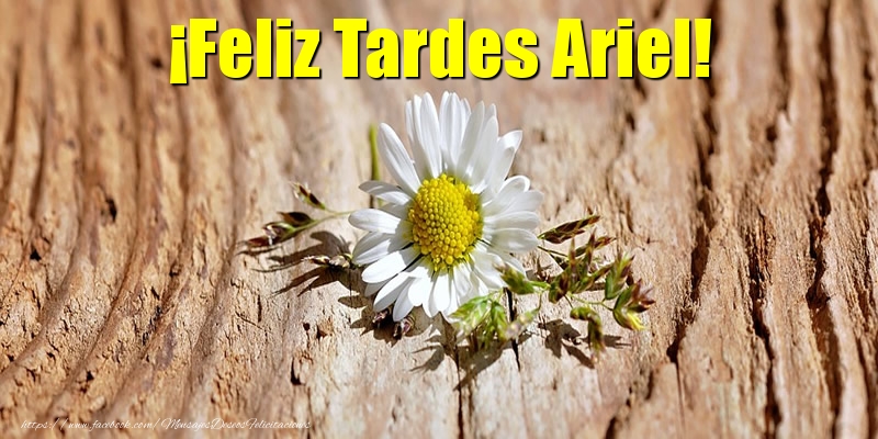 Felicitaciones de buenas tardes - ¡Feliz Tardes Ariel!