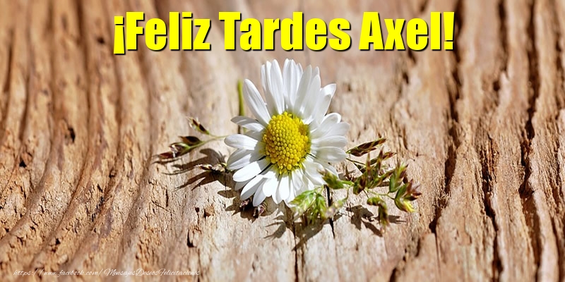 Felicitaciones de buenas tardes - Flores | ¡Feliz Tardes Axel!