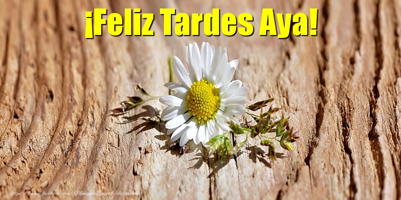 Felicitaciones de buenas tardes - ¡Feliz Tardes Aya!