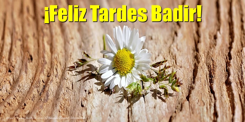 Felicitaciones de buenas tardes - ¡Feliz Tardes Badir!