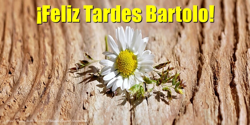 Felicitaciones de buenas tardes - ¡Feliz Tardes Bartolo!