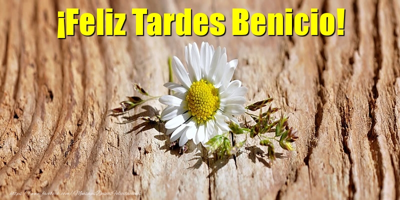 Felicitaciones de buenas tardes - Flores | ¡Feliz Tardes Benicio!