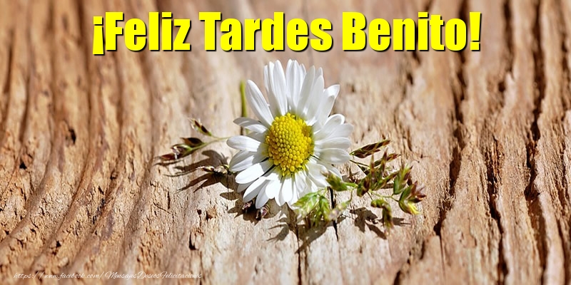 Felicitaciones de buenas tardes - ¡Feliz Tardes Benito!