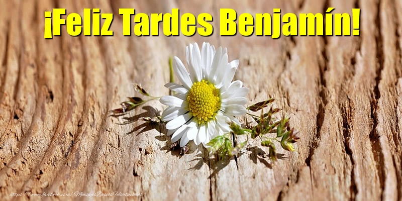 Felicitaciones de buenas tardes - ¡Feliz Tardes Benjamín!