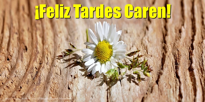Felicitaciones de buenas tardes - Flores | ¡Feliz Tardes Caren!