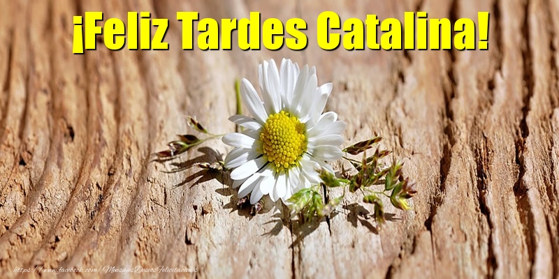 Felicitaciones de buenas tardes - Flores | ¡Feliz Tardes Catalina!