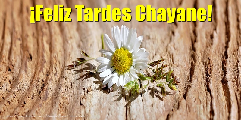Felicitaciones de buenas tardes - ¡Feliz Tardes Chayane!