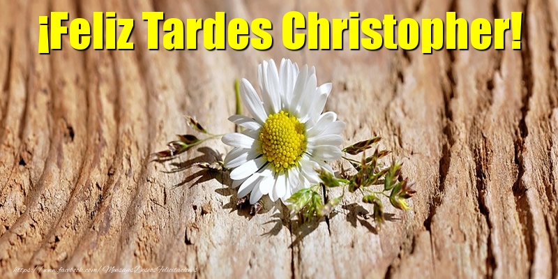 Felicitaciones de buenas tardes - Flores | ¡Feliz Tardes Christopher!