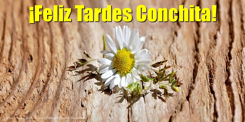 Felicitaciones de buenas tardes - Flores | ¡Feliz Tardes Conchita!