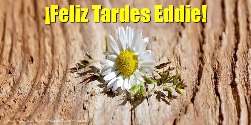 Felicitaciones de buenas tardes - Flores | ¡Feliz Tardes Eddie!