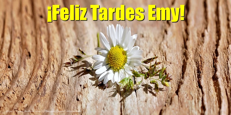 Felicitaciones de buenas tardes - Flores | ¡Feliz Tardes Emy!