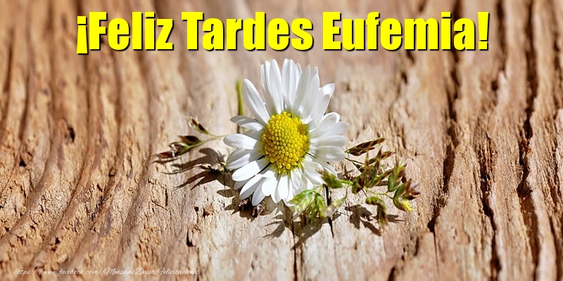 Felicitaciones de buenas tardes - Flores | ¡Feliz Tardes Eufemia!