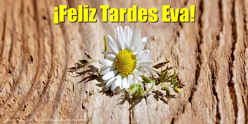 Felicitaciones de buenas tardes - Flores | ¡Feliz Tardes Eva!