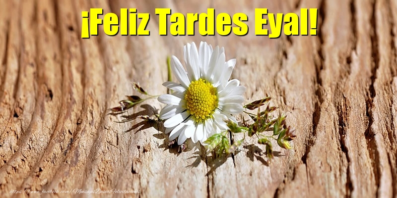 Felicitaciones de buenas tardes - ¡Feliz Tardes Eyal!