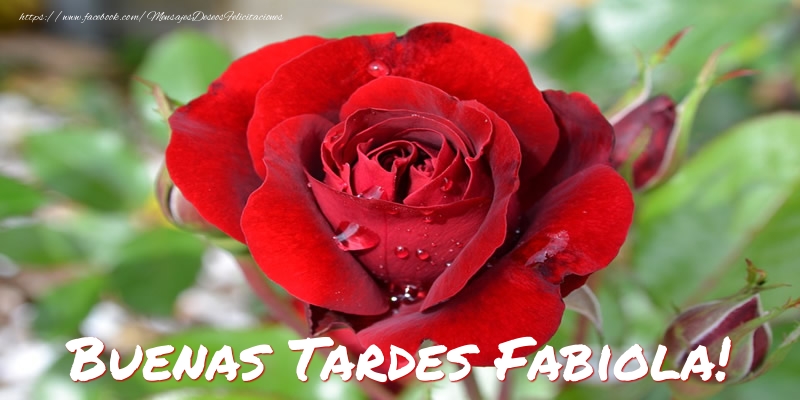 Felicitaciones de buenas tardes - Rosas | Buenas tardes, Fabiola!