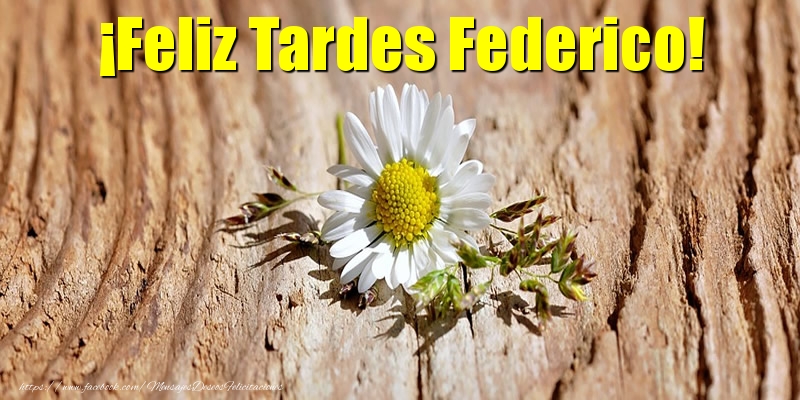 Felicitaciones de buenas tardes - ¡Feliz Tardes Federico!