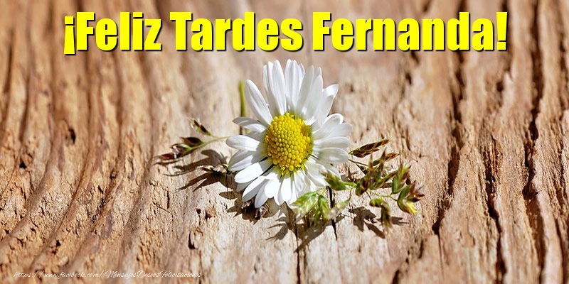 Felicitaciones de buenas tardes - Flores | ¡Feliz Tardes Fernanda!