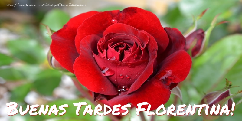 Felicitaciones de buenas tardes - Rosas | Buenas tardes, Florentina!