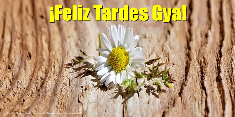 Felicitaciones de buenas tardes - Flores | ¡Feliz Tardes Gya!