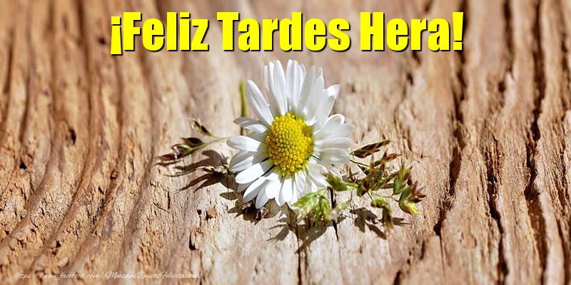 Felicitaciones de buenas tardes - ¡Feliz Tardes Hera!