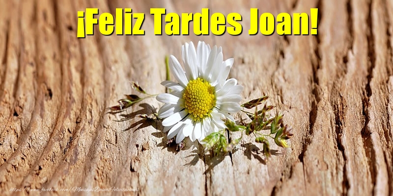 Felicitaciones de buenas tardes - ¡Feliz Tardes Joan!