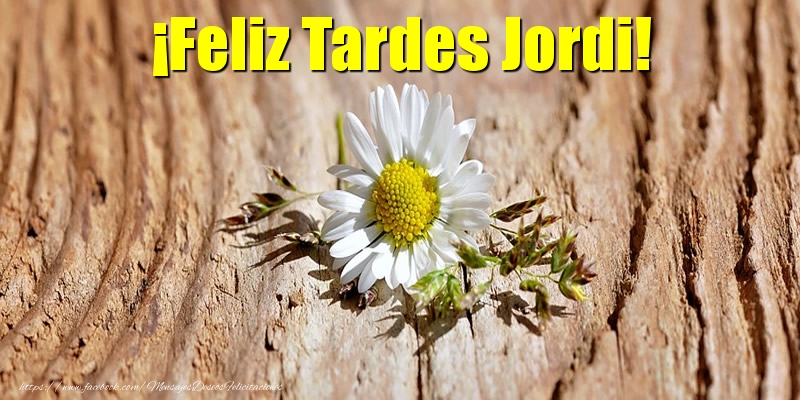 Felicitaciones de buenas tardes - Flores | ¡Feliz Tardes Jordi!