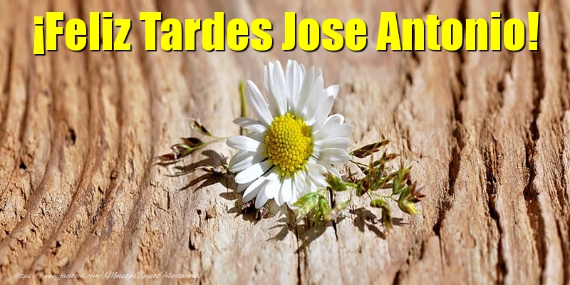 Felicitaciones de buenas tardes - Flores | ¡Feliz Tardes Jose Antonio!