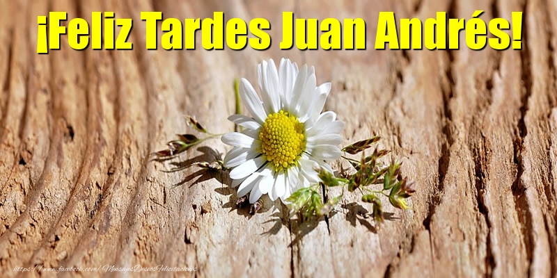 Felicitaciones de buenas tardes - ¡Feliz Tardes Juan Andrés!
