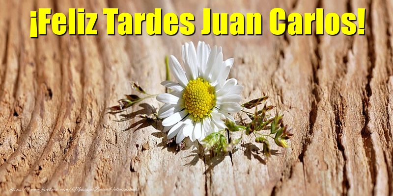 Felicitaciones de buenas tardes - Flores | ¡Feliz Tardes Juan Carlos!