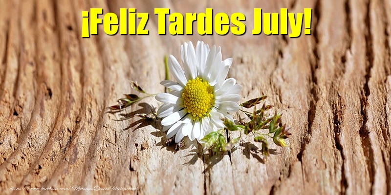 Felicitaciones de buenas tardes - ¡Feliz Tardes July!