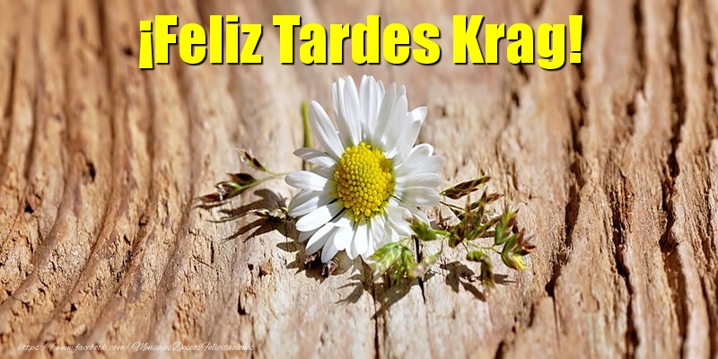 Felicitaciones de buenas tardes - ¡Feliz Tardes Krag!
