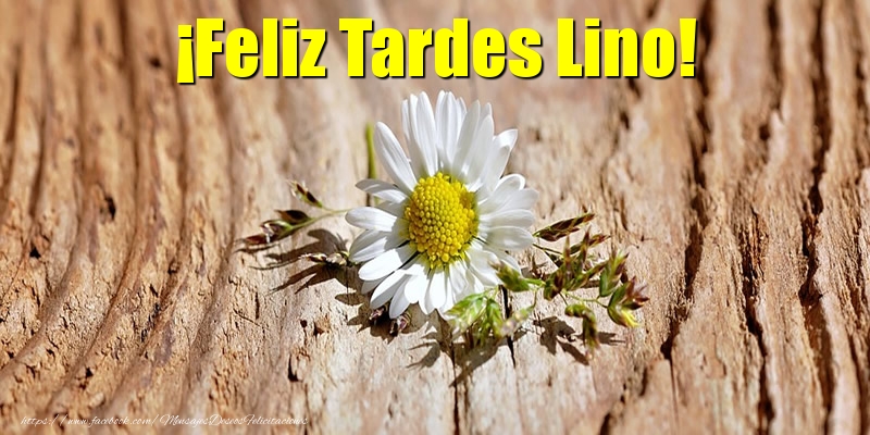Felicitaciones de buenas tardes - ¡Feliz Tardes Lino!