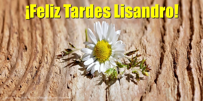 Felicitaciones de buenas tardes - ¡Feliz Tardes Lisandro!