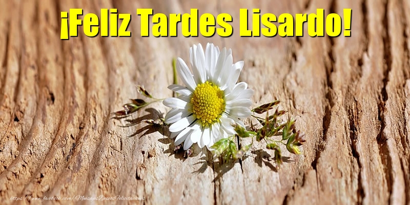 Felicitaciones de buenas tardes - Flores | ¡Feliz Tardes Lisardo!