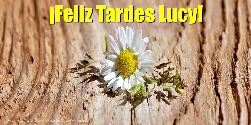Felicitaciones de buenas tardes - ¡Feliz Tardes Lucy!