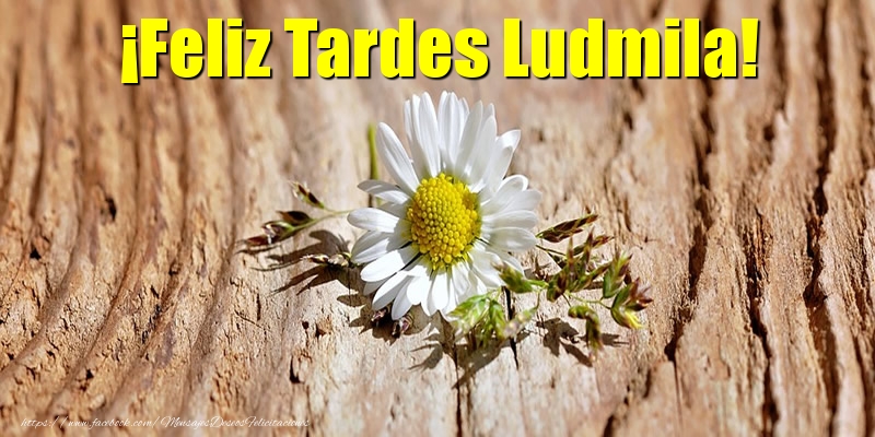 Felicitaciones de buenas tardes - Flores | ¡Feliz Tardes Ludmila!
