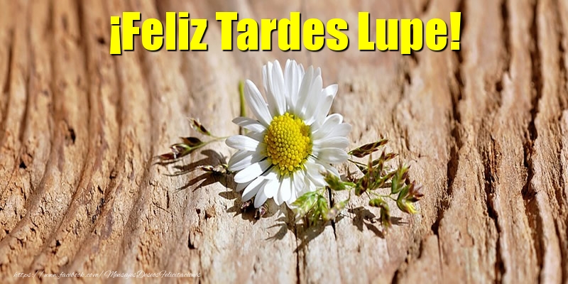 Felicitaciones de buenas tardes - Flores | ¡Feliz Tardes Lupe!