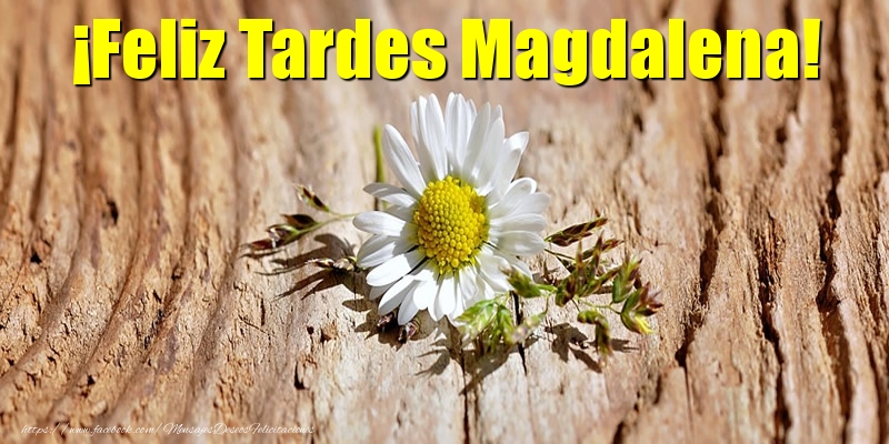 Felicitaciones de buenas tardes - ¡Feliz Tardes Magdalena!
