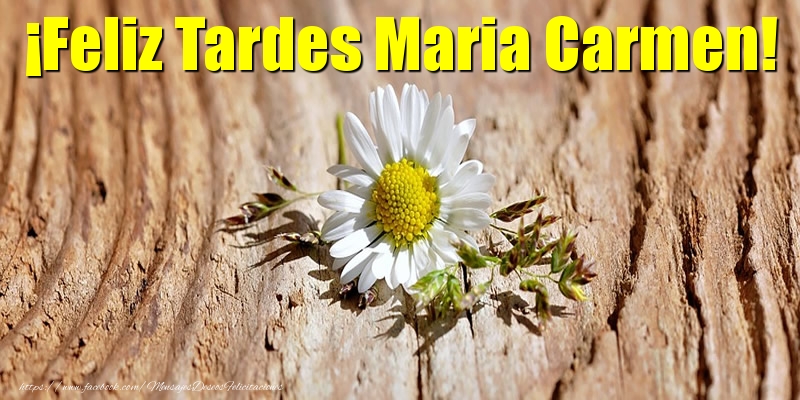 Felicitaciones de buenas tardes - Flores | ¡Feliz Tardes Maria Carmen!