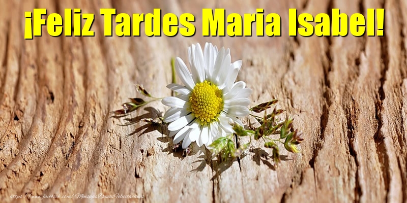 Felicitaciones de buenas tardes - ¡Feliz Tardes Maria Isabel!