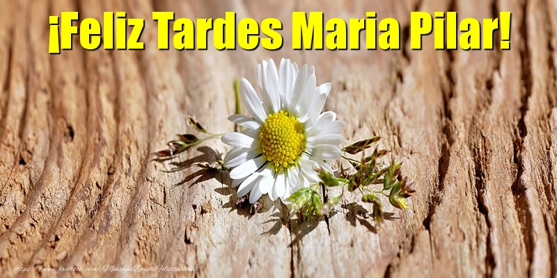 Felicitaciones de buenas tardes - ¡Feliz Tardes Maria Pilar!