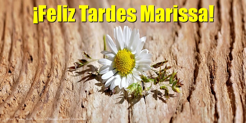 Felicitaciones de buenas tardes - ¡Feliz Tardes Marissa!
