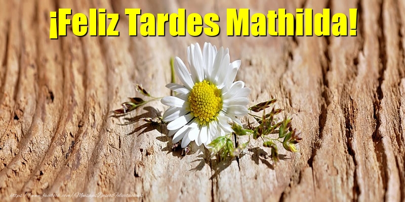 Felicitaciones de buenas tardes - Flores | ¡Feliz Tardes Mathilda!