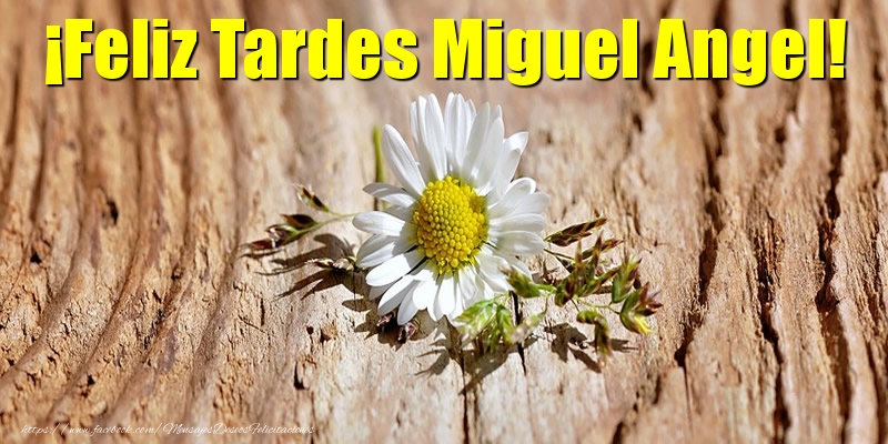 Felicitaciones de buenas tardes - Flores | ¡Feliz Tardes Miguel Angel!