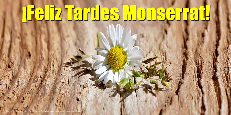 Felicitaciones de buenas tardes - ¡Feliz Tardes Monserrat!